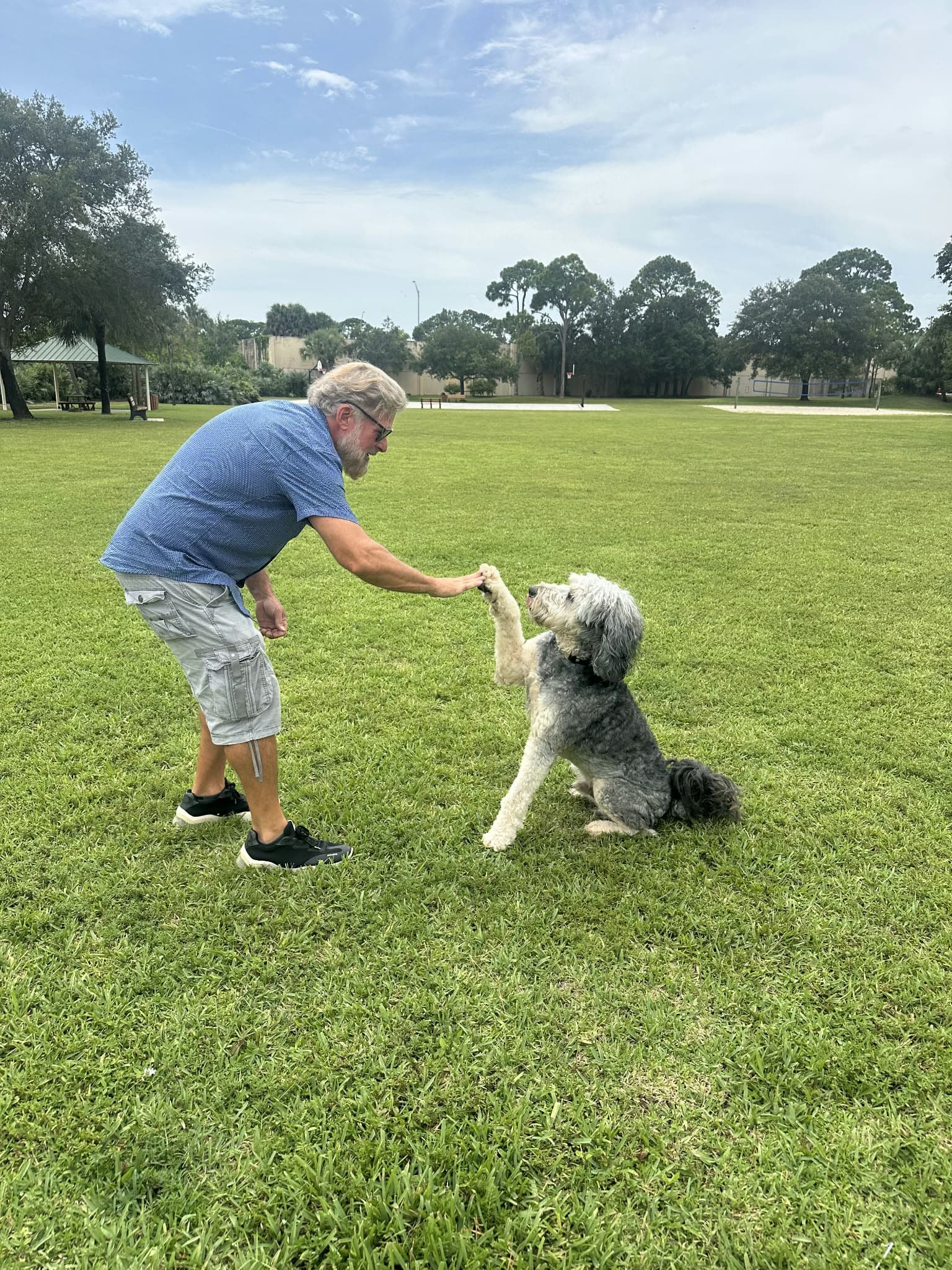 Greg high-fiving a shaggy grey and white dog on a park lawn